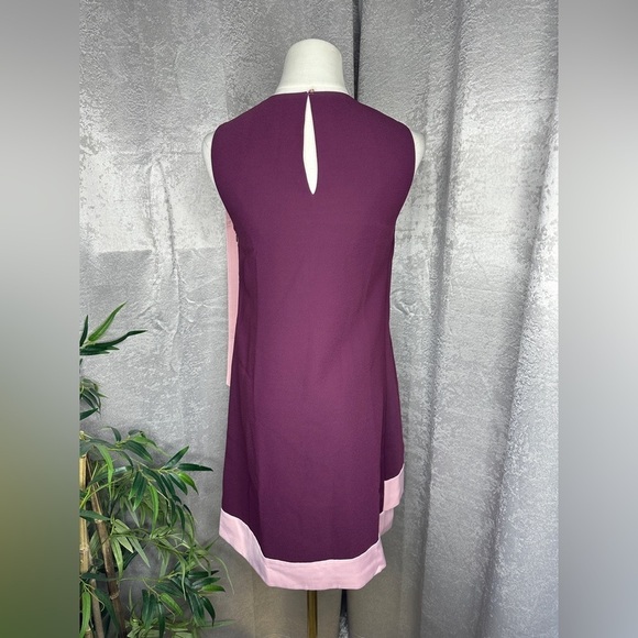 NEW Ted Baker London Braedyn Sleeveless Two-Tone Layered Dress Maroon Sz 0 - Picture 9 of 12